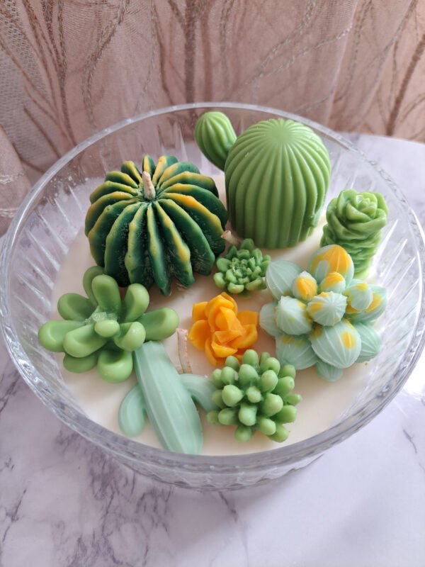 Forêt de cactus – Image 2