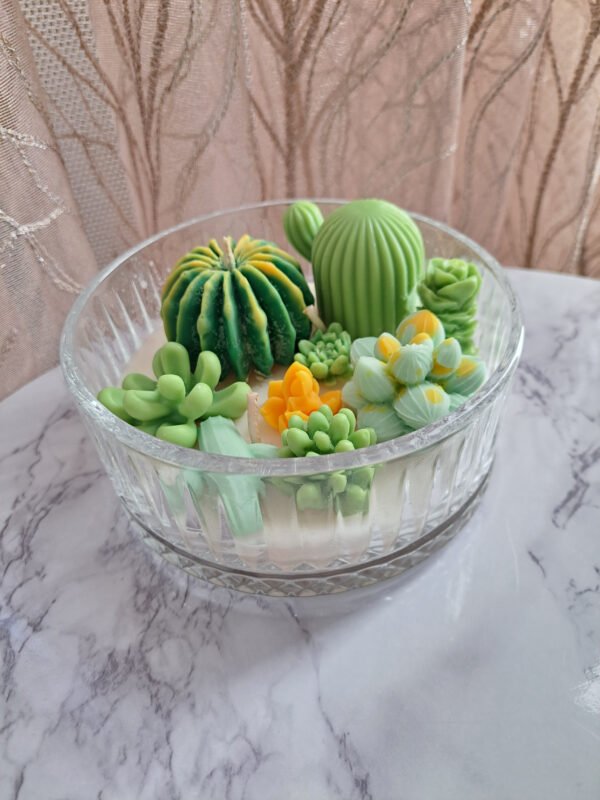 Forêt de cactus