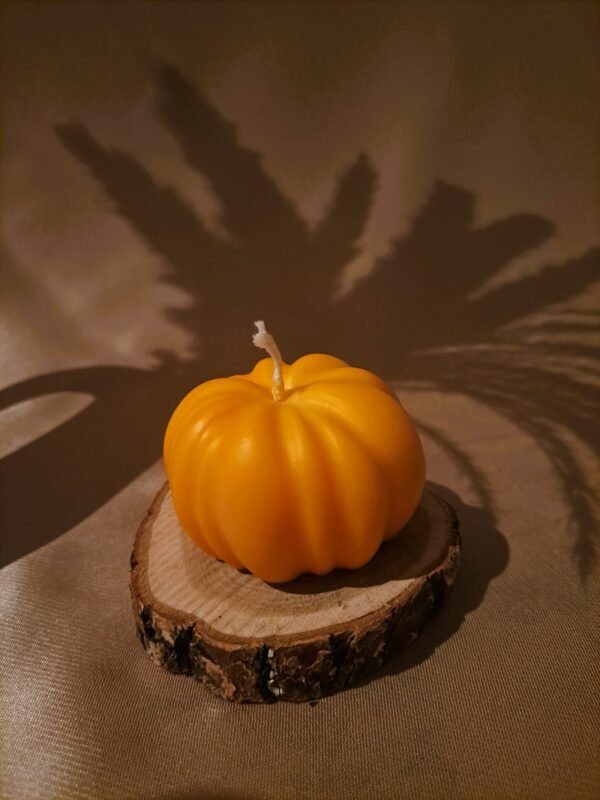 Bougie Citrouille