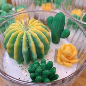 Cactus anti-moustique