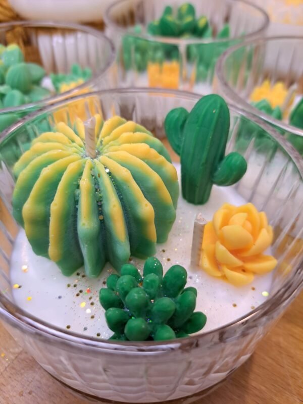 Cactus anti-moustique