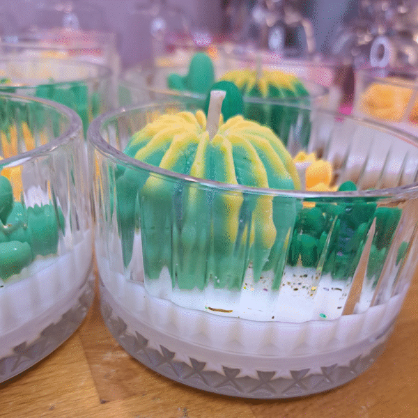 Cactus anti-moustique – Image 2