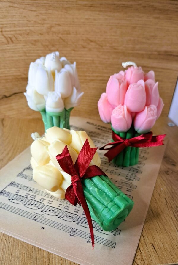 Tulipe