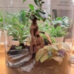 Terrarium